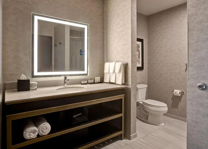 Embassy By Hilton Riverfront 4*